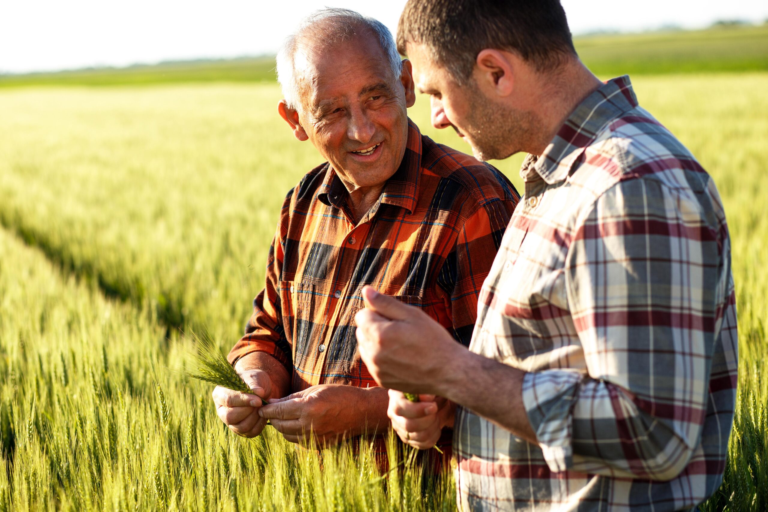 Healthy Family Farmer – A Six-Month Journey