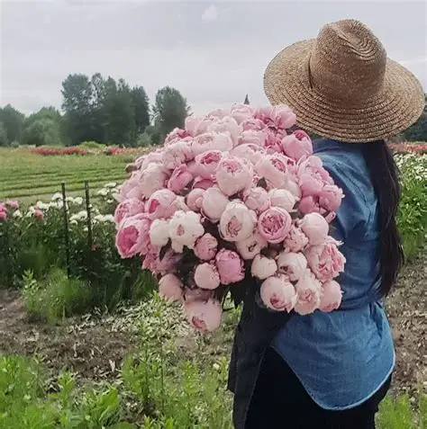 Mothers in Great Communities